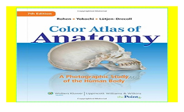 Rohen color atlas of anatomy pdf
